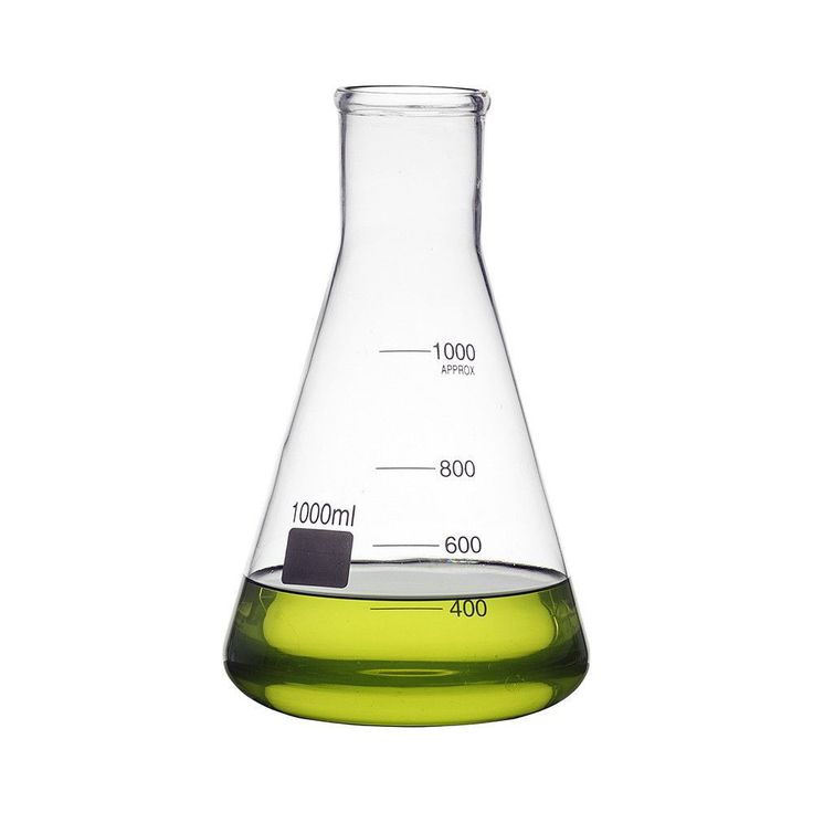 Filter Flask ( Buchner Flask)